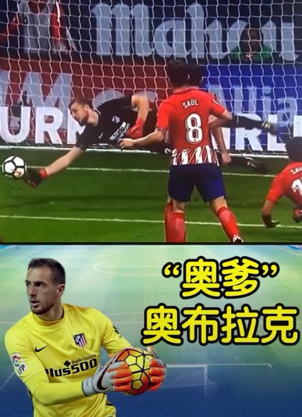 互动体验环 互动体验环