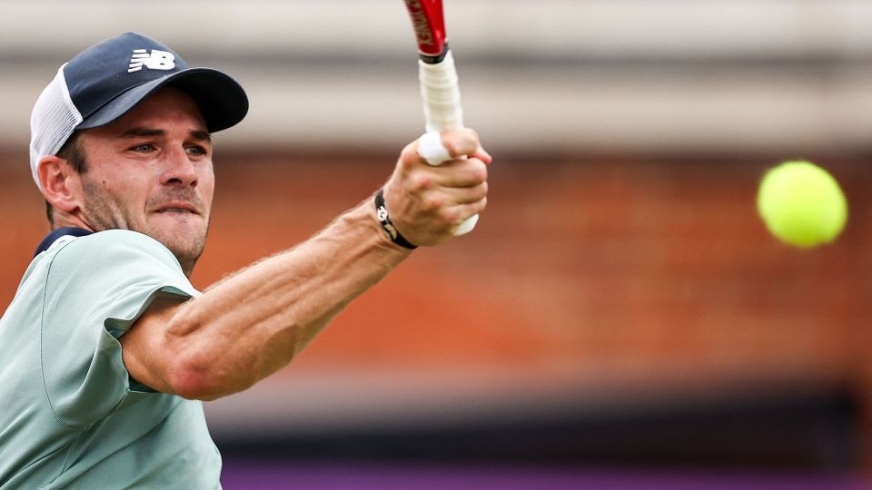 看点和亮点 看点和亮点